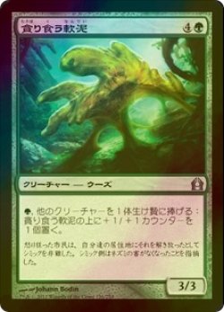 画像1: [FOIL] 貪り食う軟泥/Gobbling Ooze 【日本語版】 [RTR-緑U]