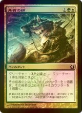 [FOIL] 共有の絆/Common Bond 【日本語版】 [RTR-金C]