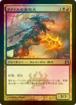 画像1: [FOIL] ラクドスの激怒犬/Rakdos Ragemutt 【日本語版】 [RTR-金U]