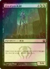 [FOIL] ゴルガリの長脚/Golgari Longlegs 【日本語版】 [RTR-金C]