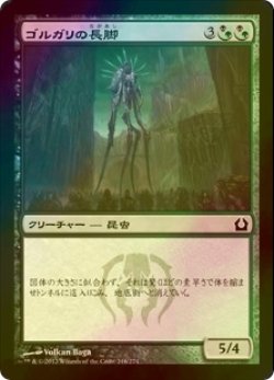 画像1: [FOIL] ゴルガリの長脚/Golgari Longlegs 【日本語版】 [RTR-金C]