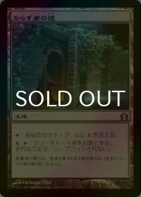 [FOIL] ならず者の道/Rogue's Passage 【日本語版】 [RTR-土地U]