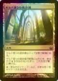 [FOIL] ギルド渡りの遊歩道/Transguild Promenade 【日本語版】 [RTR-土地C]