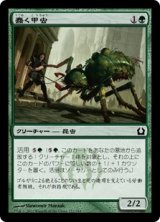 蠢く甲虫/Drudge Beetle 【日本語版】 [RTR-緑C]