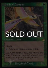 [FOIL] 極楽鳥/Birds of Paradise (旧枠・シリアル148/500) 【英語版】 [RVR-緑R]