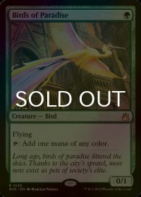 [FOIL] 極楽鳥/Birds of Paradise 【英語版】 [RVR-緑R]