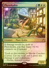 [FOIL] 草ハイドラ/Phytohydra 【英語版】 [RVR-金R]