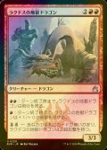 [FOIL] ラクドスの地獄ドラゴン/Rakdos Pit Dragon 【日本語版】 [RVR-赤U]