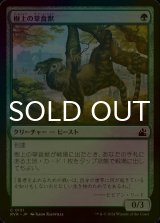 [FOIL] 樹上の草食獣/Arboreal Grazer 【日本語版】 [RVR-緑C]