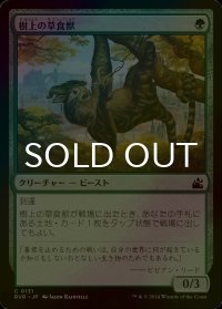 [FOIL] 樹上の草食獣/Arboreal Grazer 【日本語版】 [RVR-緑C]
