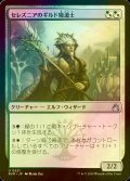 [FOIL] セレズニアのギルド魔道士/Selesnya Guildmage 【日本語版】 [RVR-金U]