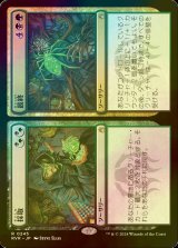 [FOIL] 採取 + 最終/Find + Finality 【日本語版】 [RVR-金R]