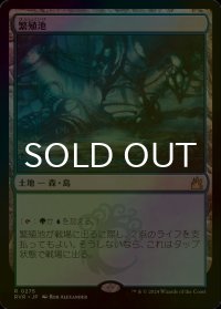 [FOIL] 繁殖池/Breeding Pool 【日本語版】 [RVR-土地R]