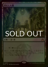[FOIL] 草むした墓/Overgrown Tomb 【日本語版】 [RVR-土地R]