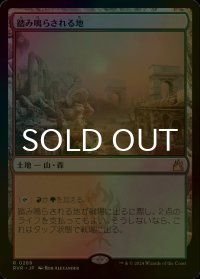 [FOIL] 踏み鳴らされる地/Stomping Ground 【日本語版】 [RVR-土地R]