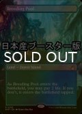 [FOIL] 繁殖池/Breeding Pool ● (全面アート・日本産ブースター版) 【英語版】 [RVR-土地R]