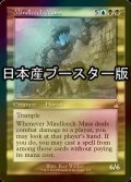 [FOIL] 精神ヒルの塊/Mindleech Mass ● (旧枠・日本産ブースター版) 【英語版】 [RVR-金R]