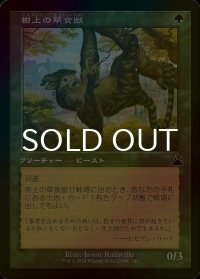 [FOIL] 樹上の草食獣/Arboreal Grazer (旧枠) 【日本語版】 [RVR-緑C]