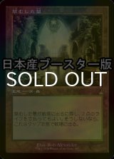 [FOIL] 草むした墓/Overgrown Tomb ● (旧枠・日本産ブースター版) 【日本語版】 [RVR-土地R]