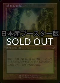[FOIL] 草むした墓/Overgrown Tomb ● (旧枠・日本産ブースター版) 【日本語版】 [RVR-土地R]