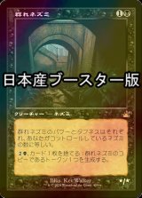 [FOIL] 群れネズミ/Pack Rat ● (旧枠・日本産ブースター版) 【日本語版】 [RVR-黒R]