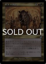 野生の律動/Rhythm of the Wild (旧枠) 【日本語版】 [RVR-金U]