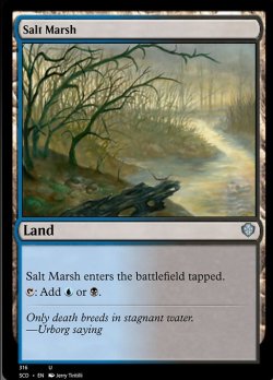 画像1: 塩の湿地/Salt Marsh 【英語版】 [SCD-土地U]