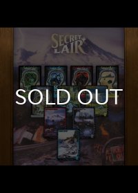 Secret Lair x Brain Dead: Lands