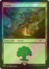 [FOIL] 森/Forest No.488 【英語版】 [SLD-土地R]