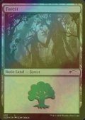 [FOIL] 森/Forest No.572 【英語版】 [SLD-土地C]