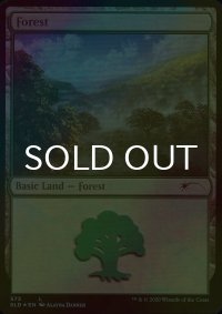 [FOIL] 森/Forest No.573 【英語版】 [SLD-土地C]