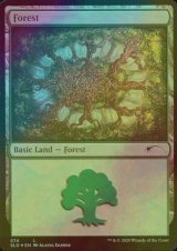 [FOIL] 森/Forest No.574 【英語版】 [SLD-土地C]