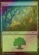 [FOIL] 森/Forest No.576 【英語版】 [SLD-土地C]