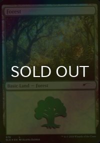 [FOIL] 森/Forest No.576 【英語版】 [SLD-土地C]