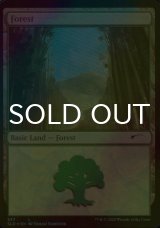 [FOIL] 森/Forest No.577 【英語版】 [SLD-土地C]
