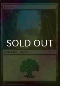 [FOIL] 森/Forest No.577 【英語版】 [SLD-土地C]