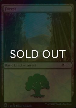 画像1: [FOIL] 森/Forest No.577 【英語版】 [SLD-土地C]