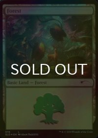 [FOIL] 森/Forest No.578 【英語版】 [SLD-土地C]