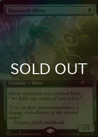 [FOIL] マナ編みスリヴァー/Manaweft Sliver (拡張アート版) 【英語版】 [SLD-緑R]