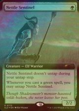 [FOIL] イラクサの歩哨/Nettle Sentinel (拡張アート版) 【英語版】 [SLD-緑R]