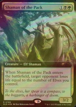 画像1: [FOIL] 群れのシャーマン/Shaman of the Pack (拡張アート版) 【英語版】 [SLD-金R]