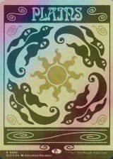 [FOIL] 平地/Plains No.888 【英語版】 [SLD-土地R]