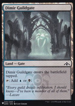 画像1: ディミーアのギルド門/Dimir Guildgate 【英語版】 [GRN-土地List]
