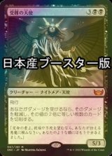 [FOIL] 受難の天使/Angel of Suffering ● (日本産ブースター版) 【日本語版】 [SNC-黒MR]