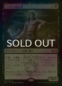 [FOIL] しつこい負け犬/Tenacious Underdog 【日本語版】 [SNC-黒R]