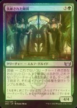 [FOIL] 洗練された随員/Elegant Entourage 【日本語版】 [SNC-緑U]