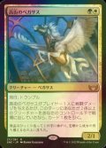 [FOIL] 高街のペガサス/Park Heights Pegasus 【日本語版】 [SNC-金R]