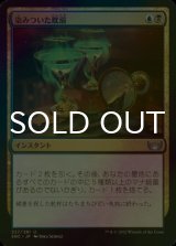 [FOIL] 染みついた耽溺/Tainted Indulgence 【日本語版】 [SNC-金U]
