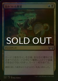 [FOIL] 染みついた耽溺/Tainted Indulgence 【日本語版】 [SNC-金U]