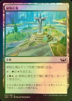 画像1: [FOIL] 植物広場/Botanical Plaza 【日本語版】 [SNC-土地C]